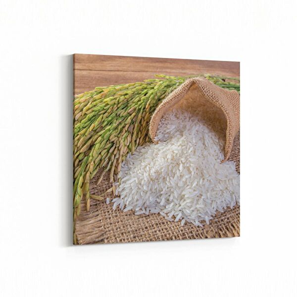 olla.market Kanvas Tablo