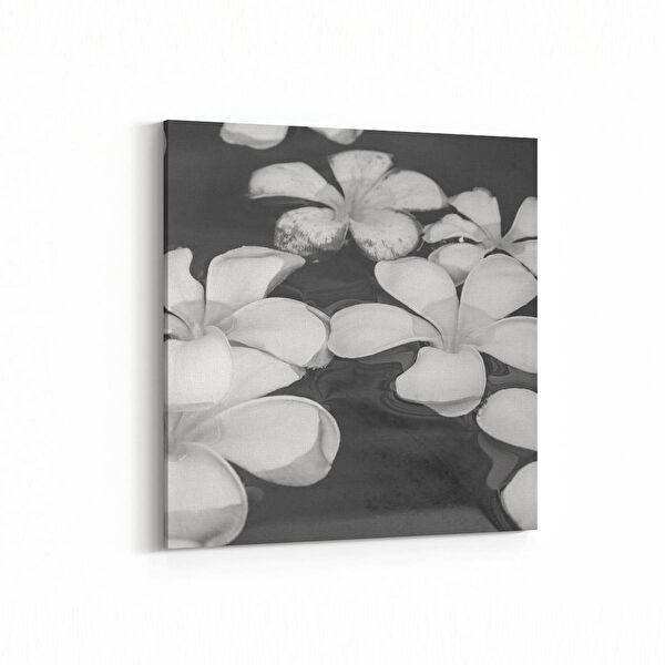 olla.market Kanvas Tablo