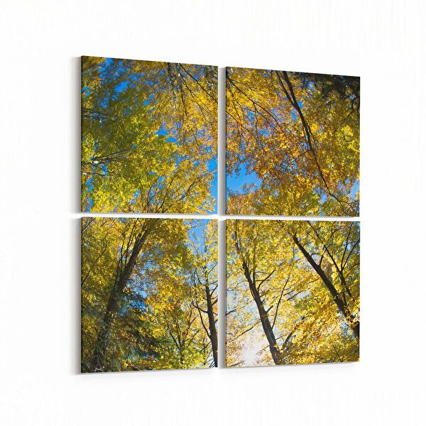 olla.market Kanvas Tablo