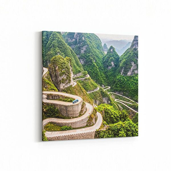 olla.market Kanvas Tablo