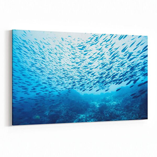 olla.market Kanvas Tablo