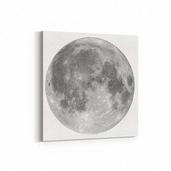 olla.market Kanvas Tablo