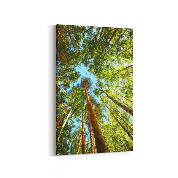 olla.market Kanvas Tablo