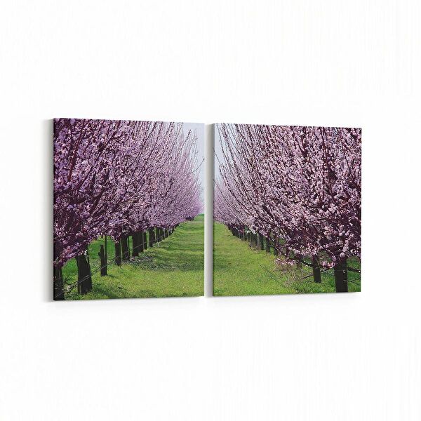 olla.market Kanvas Tablo