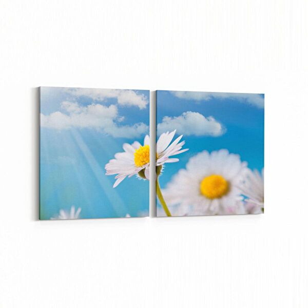 olla.market Kanvas Tablo