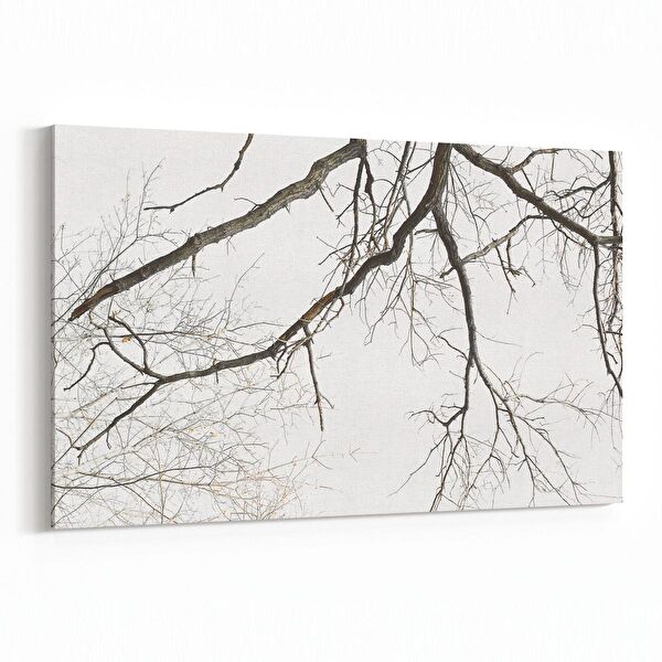 olla.market Kanvas Tablo