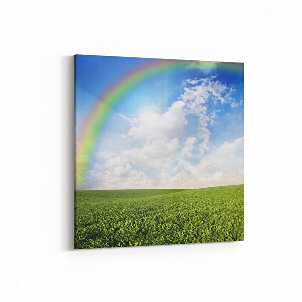 olla.market Kanvas Tablo