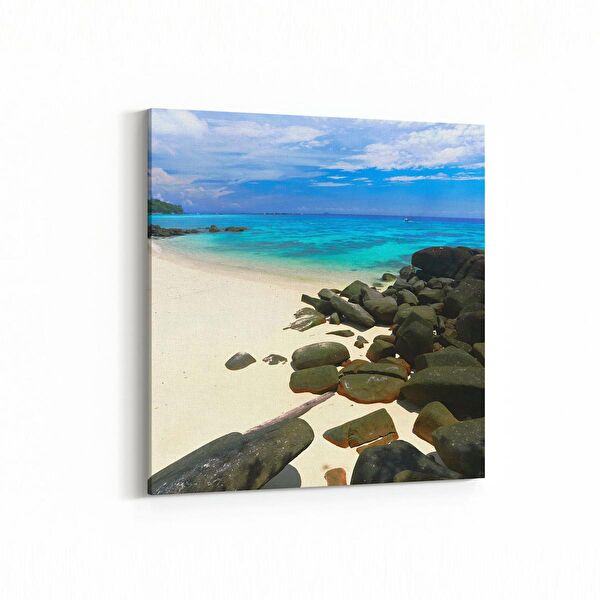 olla.market Kanvas Tablo