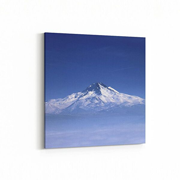 olla.market Kanvas Tablo