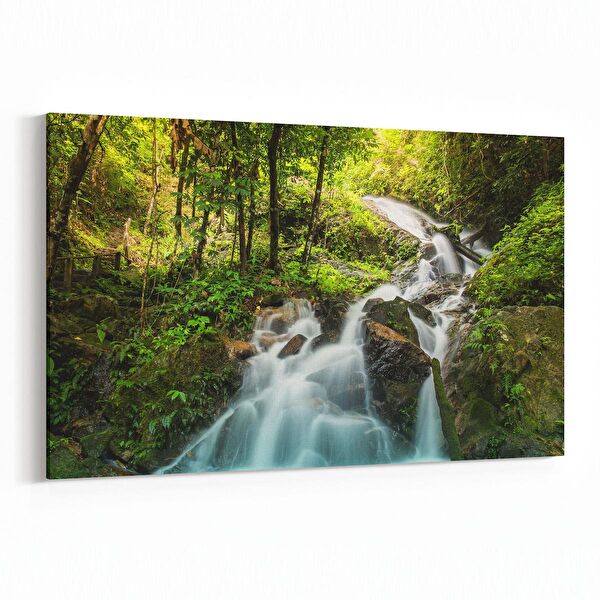 olla.market Kanvas Tablo