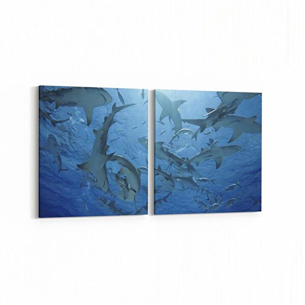 olla.market Kanvas Tablo