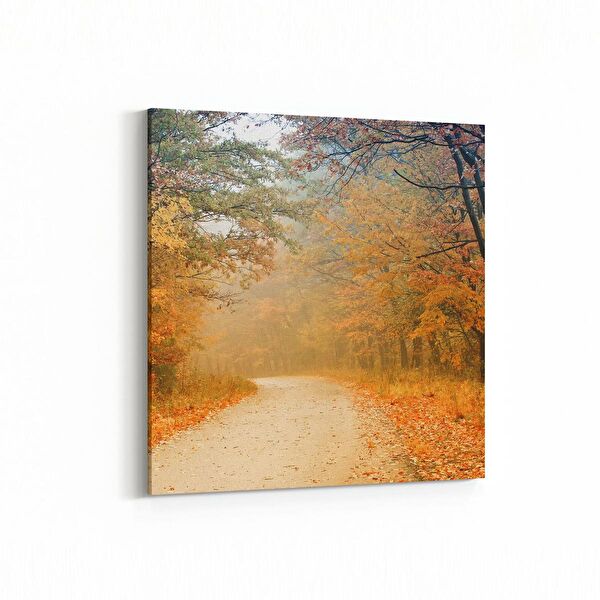 olla.market Kanvas Tablo