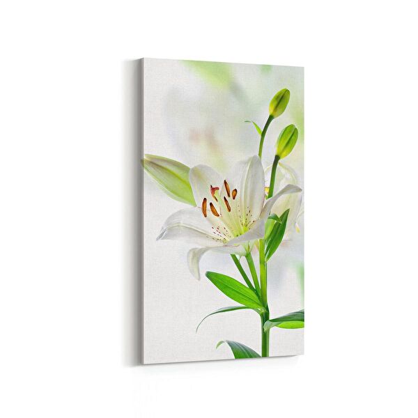 olla.market Kanvas Tablo