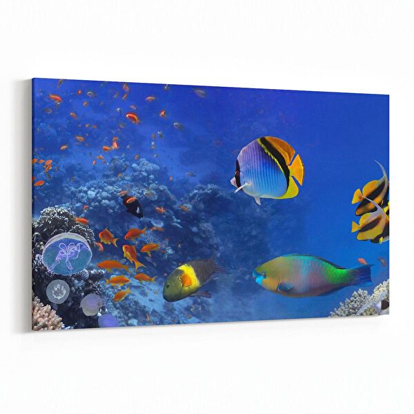 olla.market Kanvas Tablo