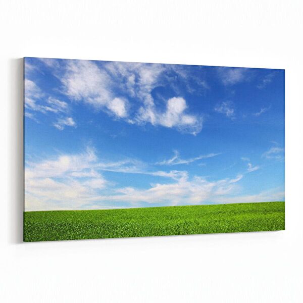 olla.market Kanvas Tablo