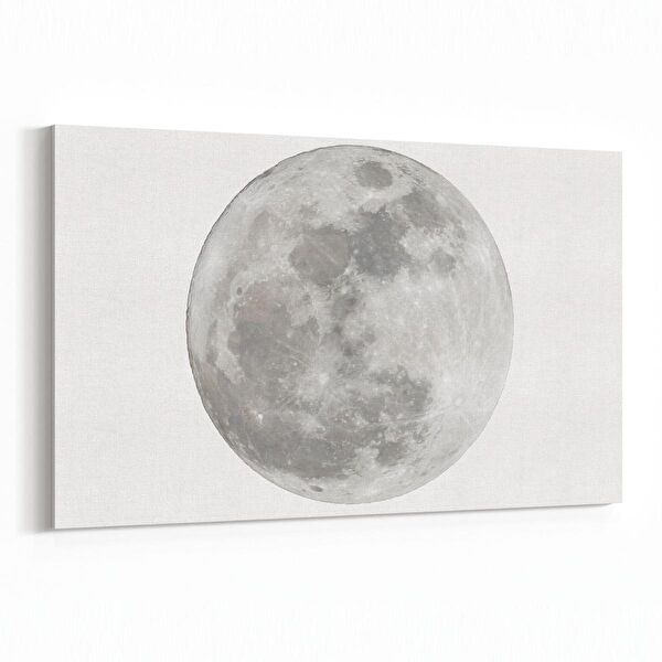 olla.market Kanvas Tablo