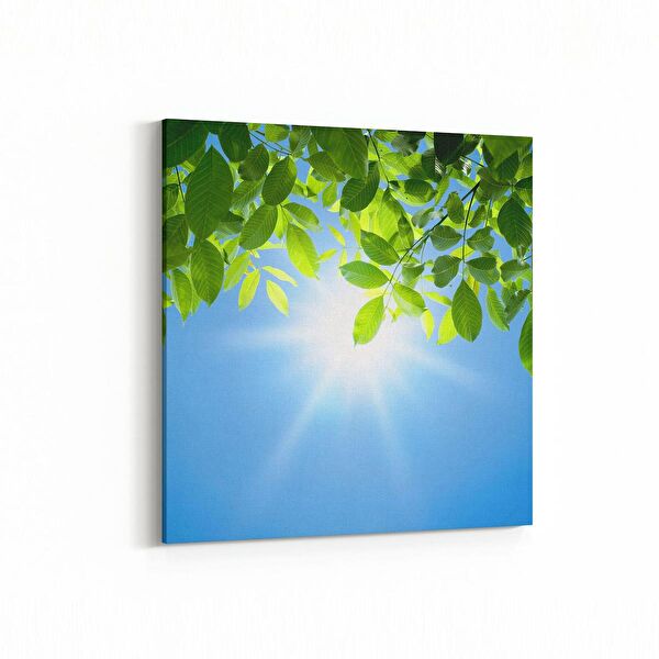 olla.market Kanvas Tablo