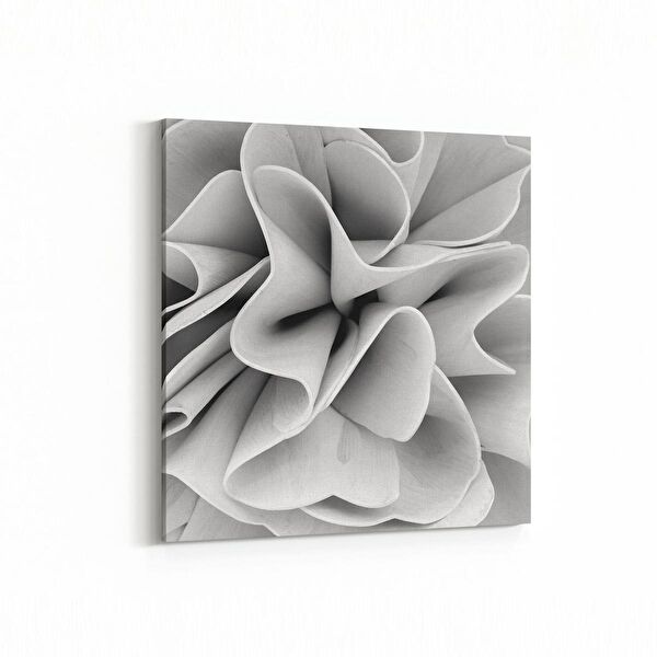 olla.market Kanvas Tablo