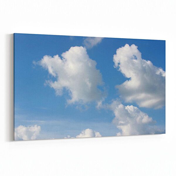 olla.market Kanvas Tablo