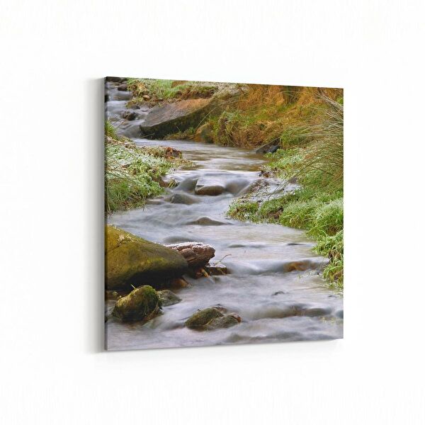 olla.market Kanvas Tablo