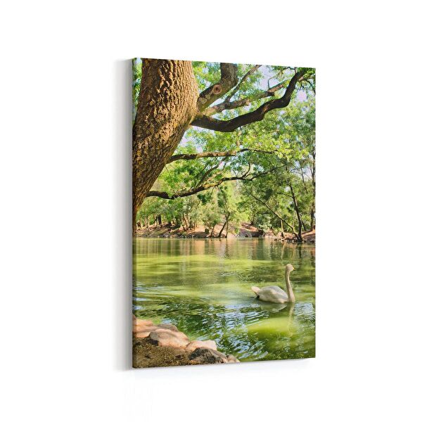 olla.market Kanvas Tablo