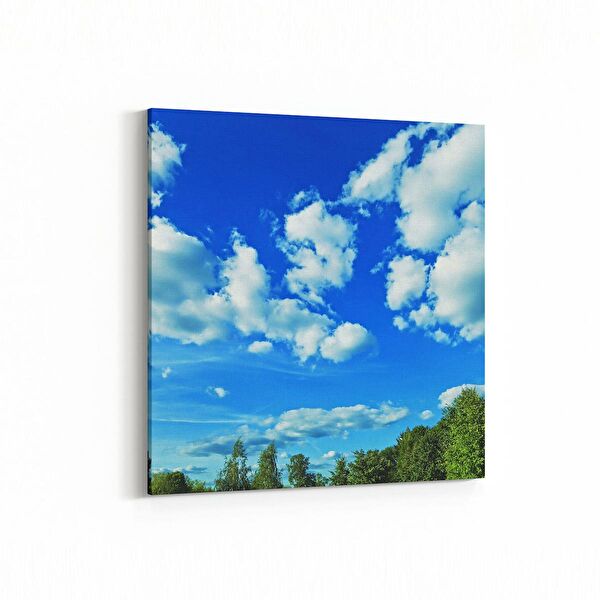 olla.market Kanvas Tablo