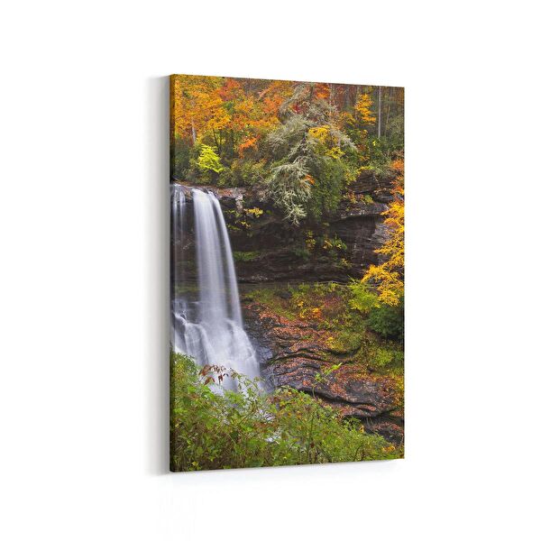 olla.market Kanvas Tablo