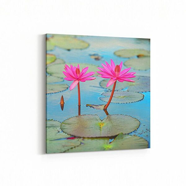 olla.market Kanvas Tablo