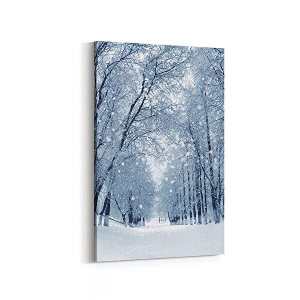 olla.market Kanvas Tablo