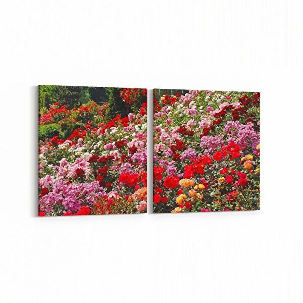 olla.market Kanvas Tablo