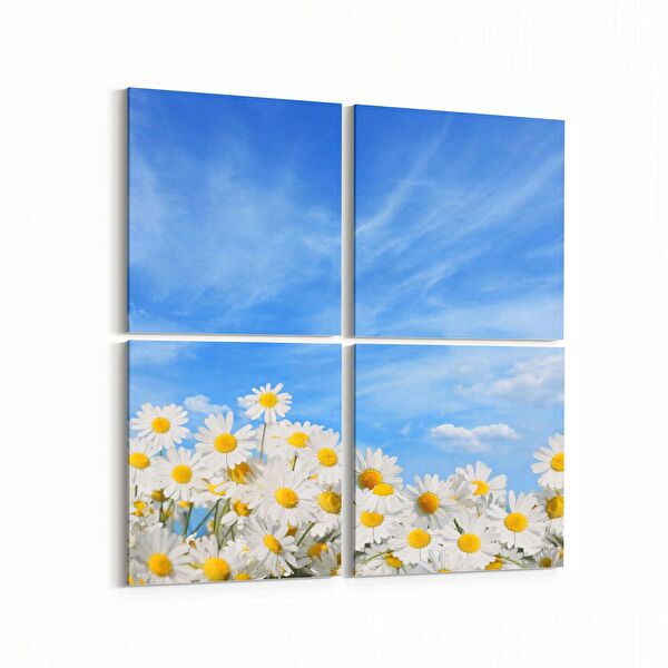 olla.market Kanvas Tablo