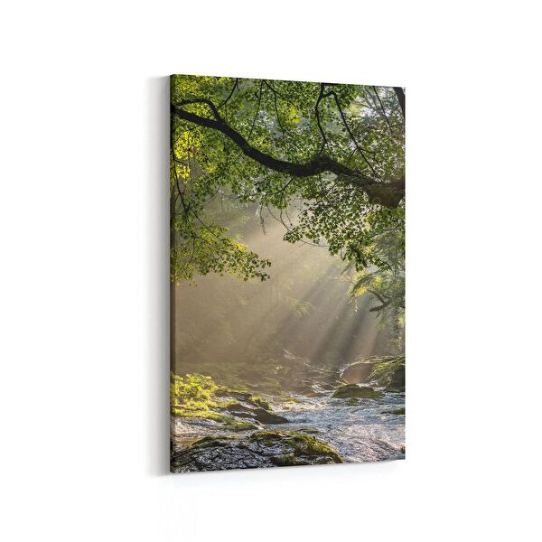 olla.market Kanvas Tablo