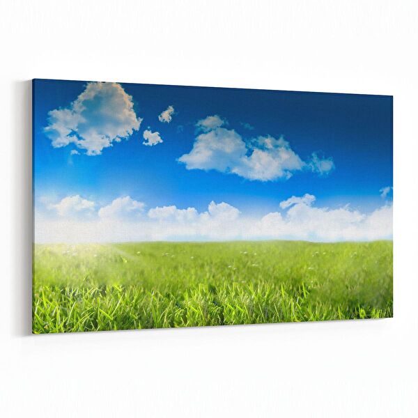 olla.market Kanvas Tablo