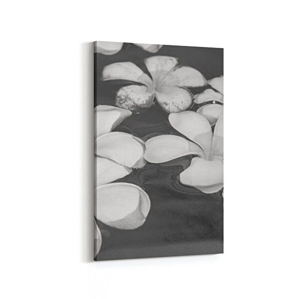 olla.market Kanvas Tablo