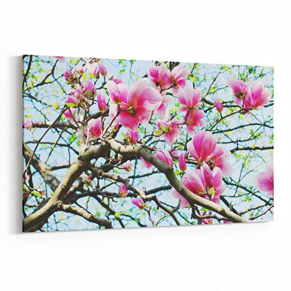 olla.market Kanvas Tablo