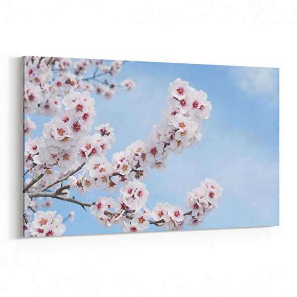 olla.market Kanvas Tablo