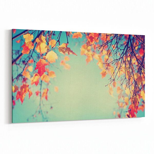 olla.market Kanvas Tablo