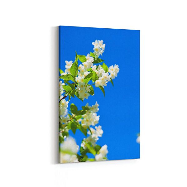 olla.market Kanvas Tablo