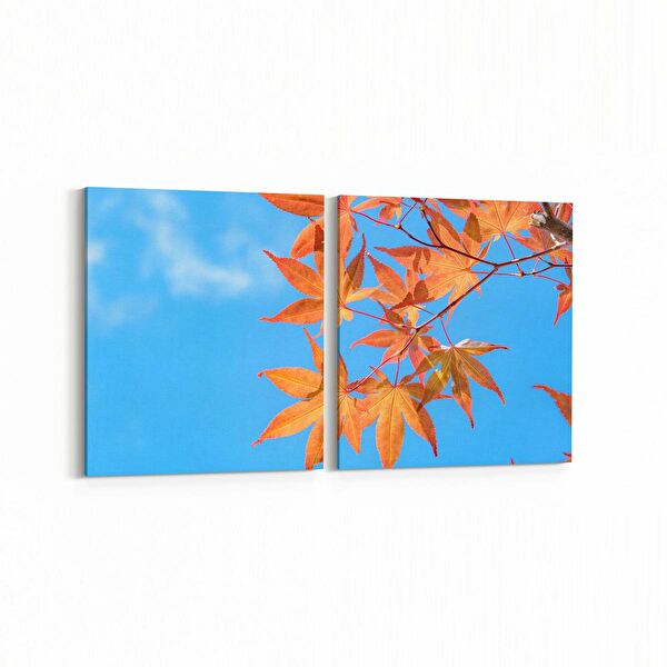 olla.market Kanvas Tablo