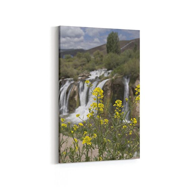 olla.market Kanvas Tablo