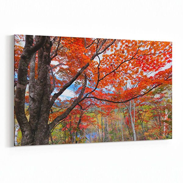 olla.market Kanvas Tablo