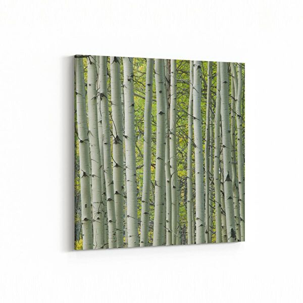 olla.market Kanvas Tablo