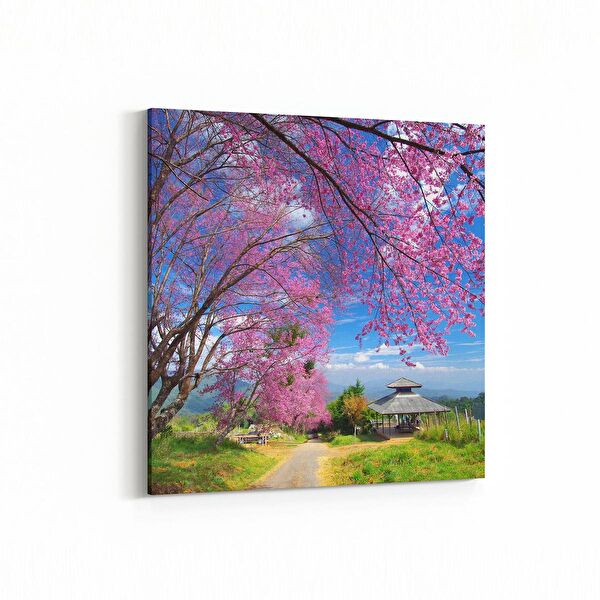 olla.market Kanvas Tablo