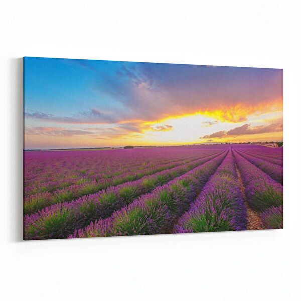 olla.market Kanvas Tablo