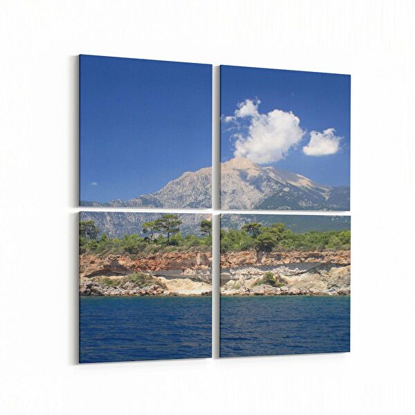 olla.market Kanvas Tablo