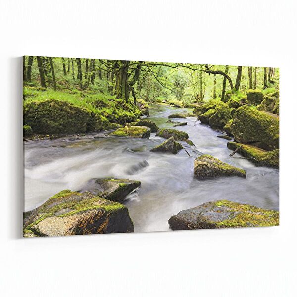 olla.market Kanvas Tablo