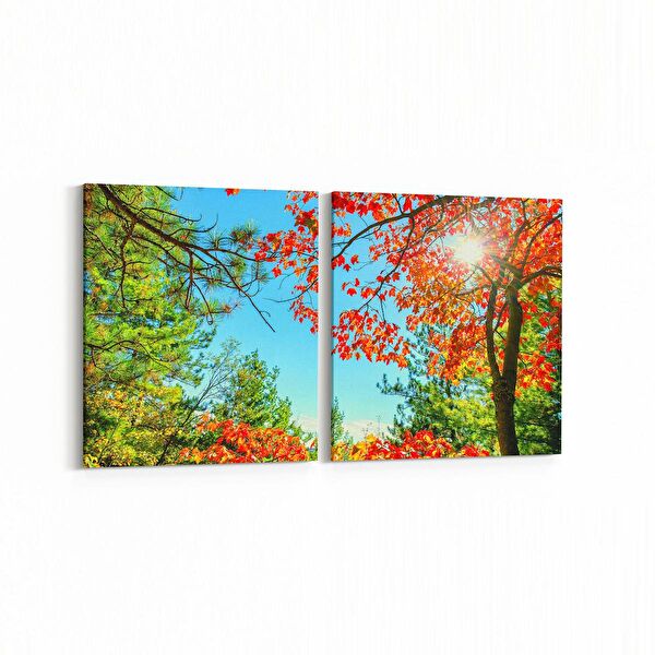 olla.market Kanvas Tablo