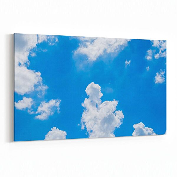 olla.market Kanvas Tablo