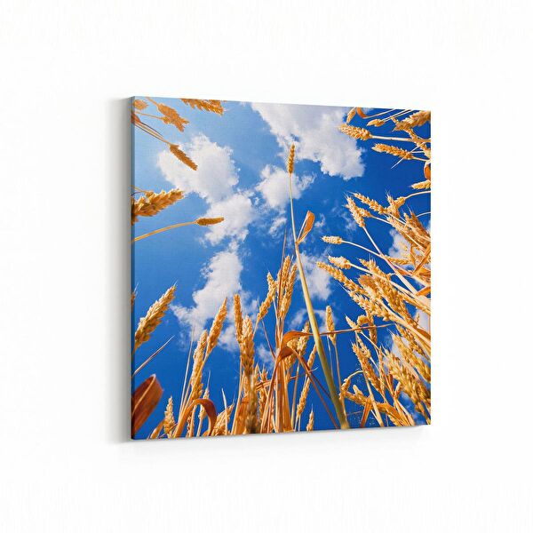 olla.market Kanvas Tablo