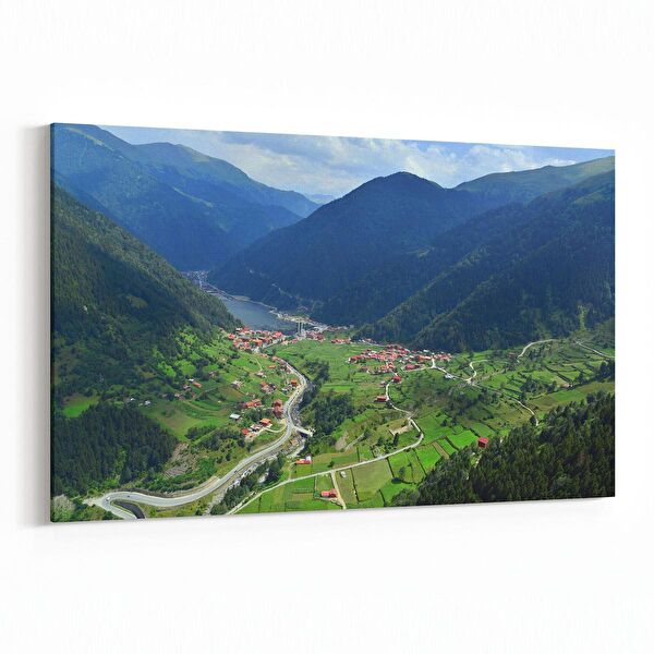 olla.market Kanvas Tablo